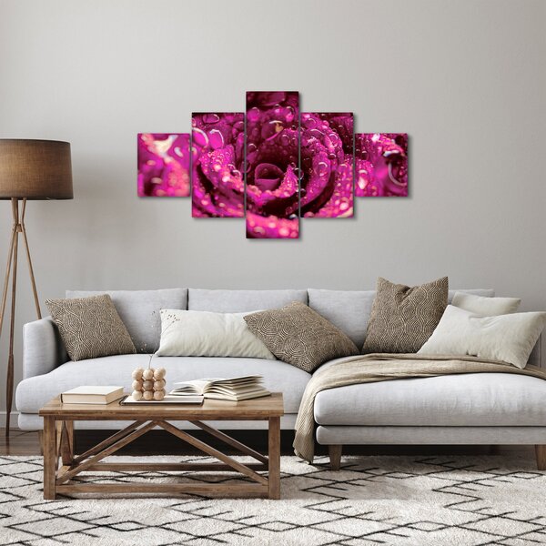 Obraz růžového květu růže (125x70 cm)
