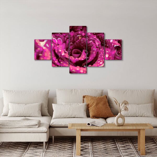 Obraz růžového květu růže (125x70 cm)