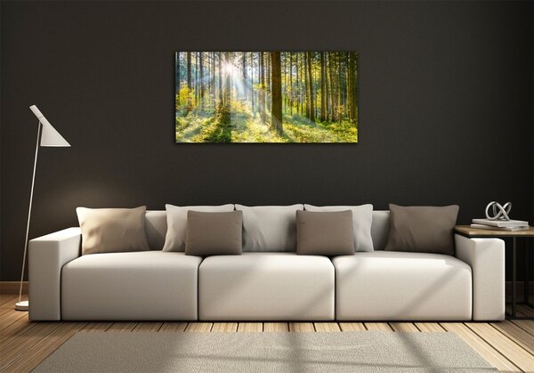 Foto obraz sklo tvrzené Les slunce osh-98252702