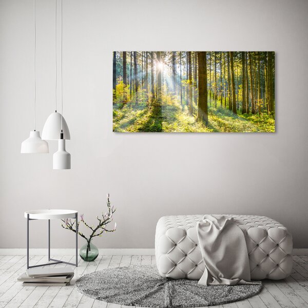 Foto obraz sklo tvrzené Les slunce osh-98252702