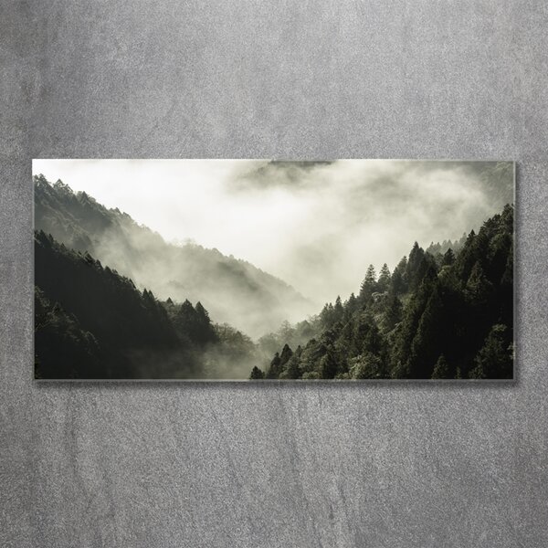 Foto obraz fotografie na skle Mlha nad lesem osh-98626353