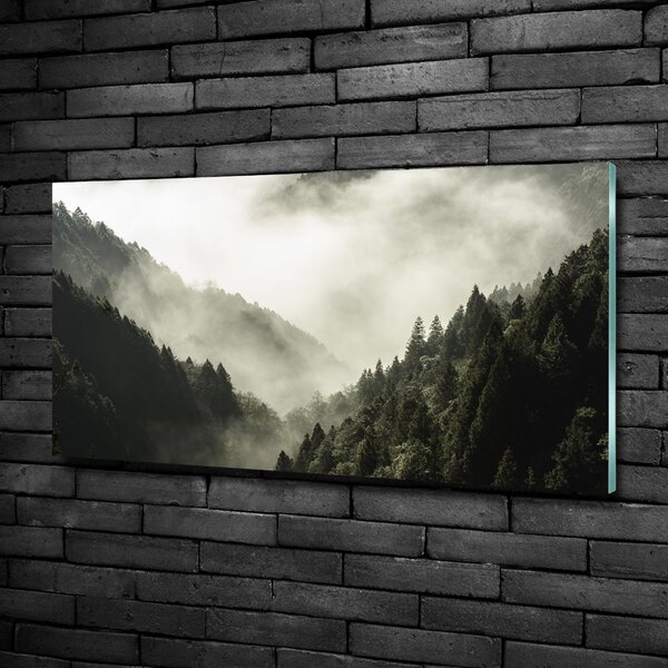 Foto obraz fotografie na skle Mlha nad lesem osh-98626353