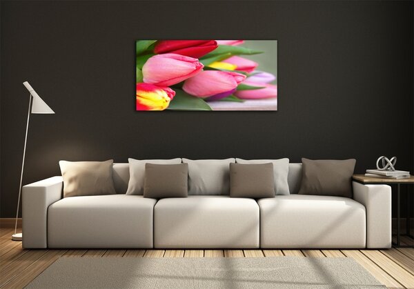 Foto obraz fotografie na skle Barevné tulipány osh-98761222