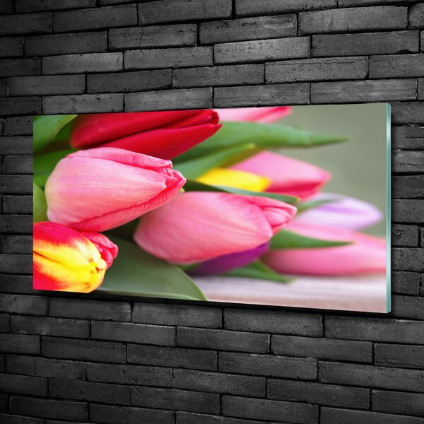 Foto obraz fotografie na skle Barevné tulipány osh-98761222