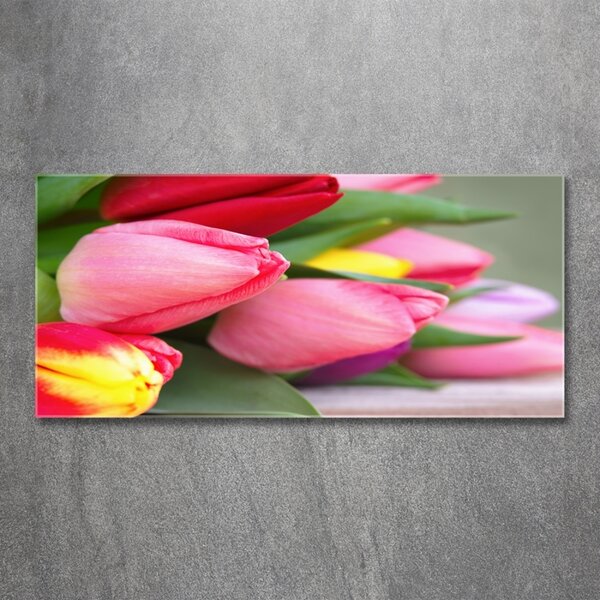 Foto obraz fotografie na skle Barevné tulipány osh-98761222