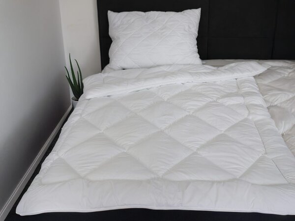 2G Lipov Ložní soupravy Aloe Vera odlehčené - 220x200 / 2x70x90 cm | 1ks