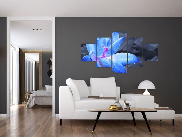 Obraz květu v detailu (125x70 cm)