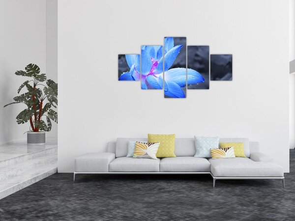 Obraz květu v detailu (125x70 cm)