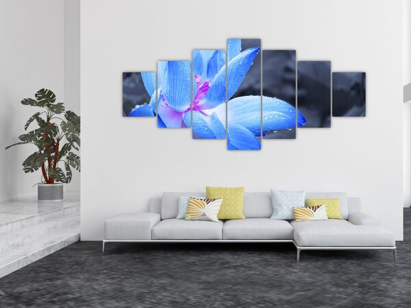 Obraz květu v detailu (210x100 cm)