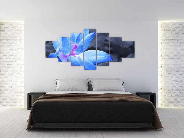Obraz květu v detailu (210x100 cm)