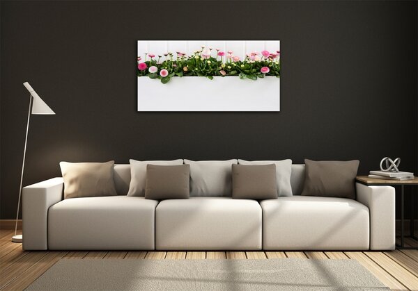 Foto obraz skleněný horizontální Růžové sedmikrásky osh-99649628