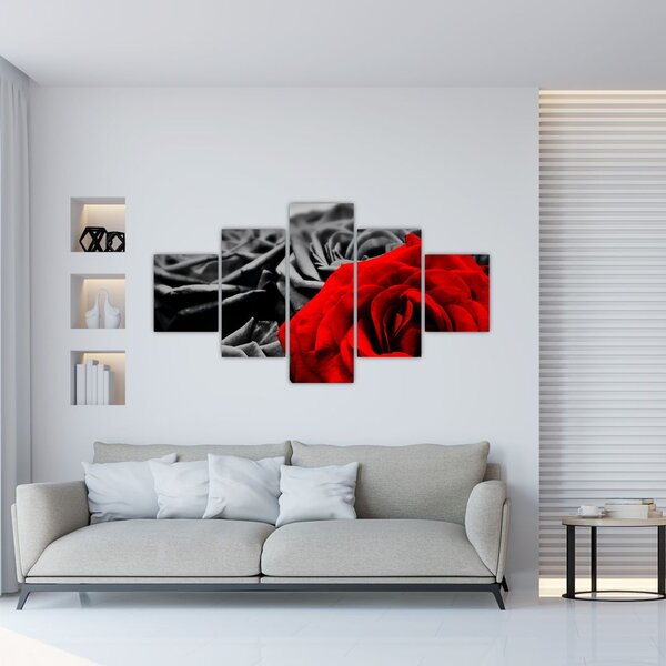 Obraz - Květy růží (125x70 cm)