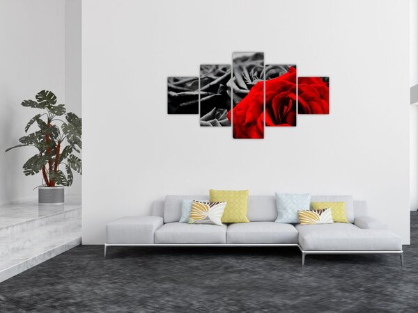 Obraz - Květy růží (125x70 cm)