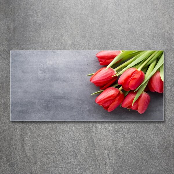 Foto obraz fotografie na skle Červené tulipány osh-99719823