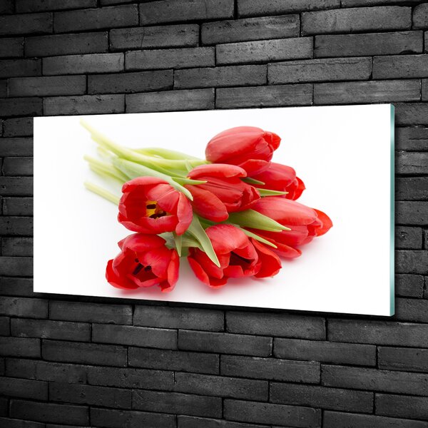 Foto obraz skleněný horizontální Červené tulipány osh-99817079