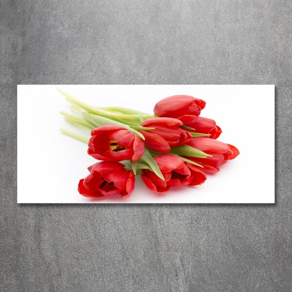 Foto obraz skleněný horizontální Červené tulipány osh-99817079