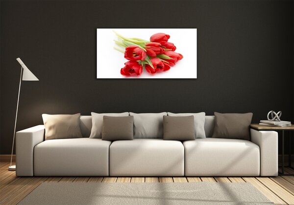 Foto obraz skleněný horizontální Červené tulipány osh-99817079