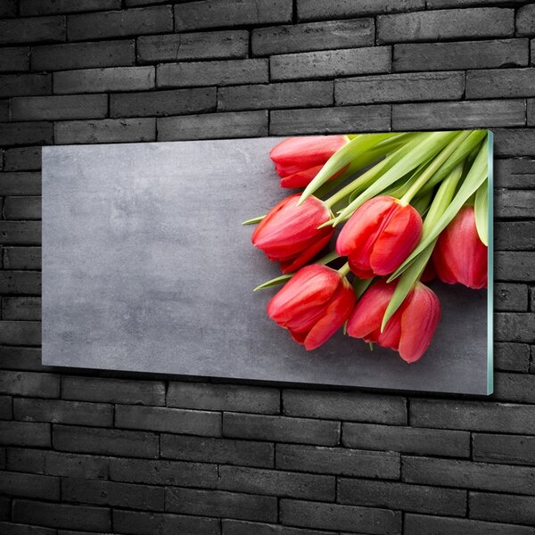 Foto obraz fotografie na skle Červené tulipány osh-99719823