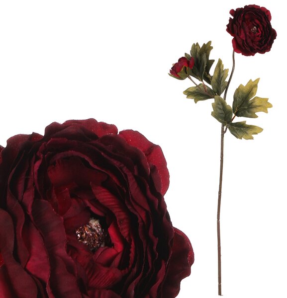 Ranunkulus, bordó barva UKK353 BOR