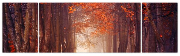 Obraz - Podzimní les (170x50 cm)