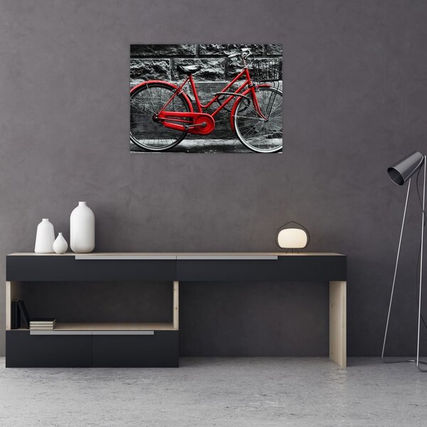 Obraz - Historický bicykl (70x50 cm)