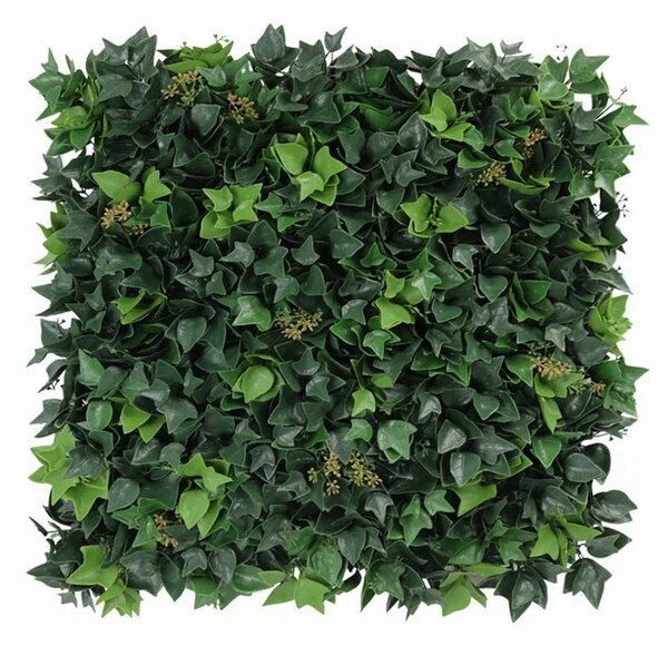 Umělý živý plot HEDERA BLOOM PREMIUM, 4ks dílce 50x50cm, plocha 1m2