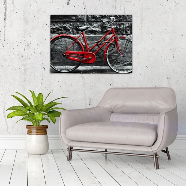 Obraz - Historický bicykl (70x50 cm)
