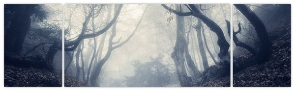Obraz - Les v mlze (170x50 cm)