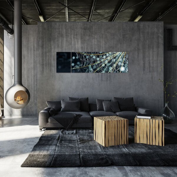 Obraz -Květ s pavučinou (170x50 cm)