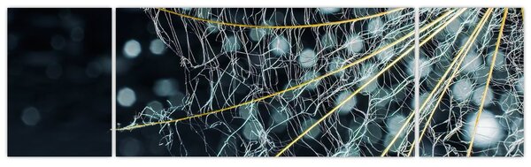 Obraz -Květ s pavučinou (170x50 cm)