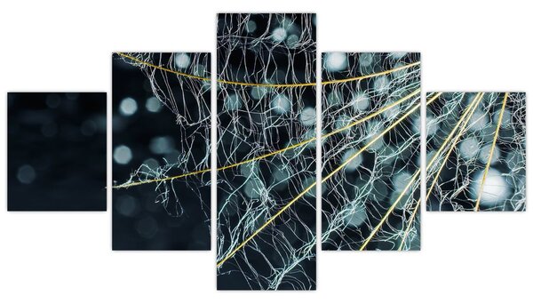 Obraz -Květ s pavučinou (125x70 cm)