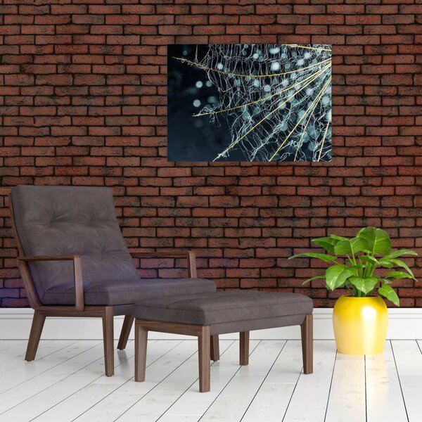 Obraz -Květ s pavučinou (70x50 cm)