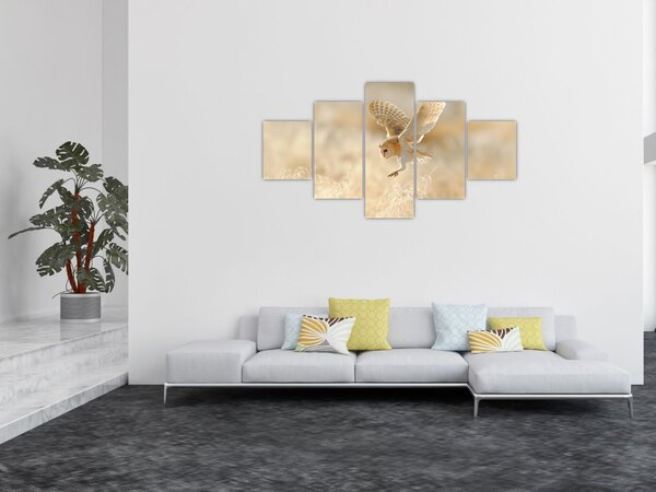 Obraz - Sova pálená (125x70 cm)