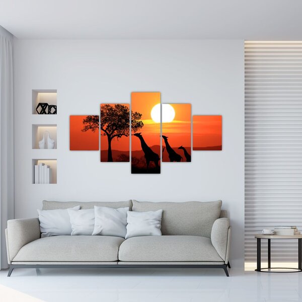 Obraz žiraf při západu slunce (125x70 cm)