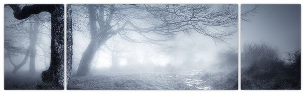Obraz - Cesta v mlze (170x50 cm)