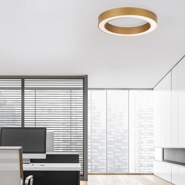 Zlaté kovové stropní LED světlo Nova Luce Morbido 60 cm