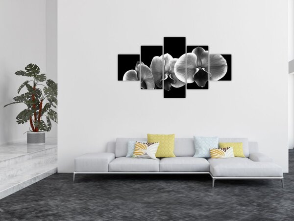 Obraz květu orchideje (125x70 cm)