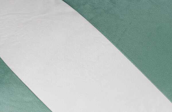 White Label Zeleno-bílý polštář WLL HOY 30 x 60 cm