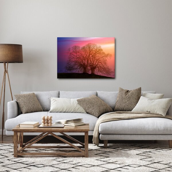 Obraz stromů v mlze (70x50 cm)