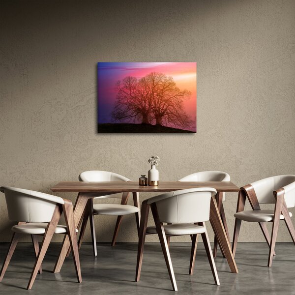 Obraz stromů v mlze (70x50 cm)