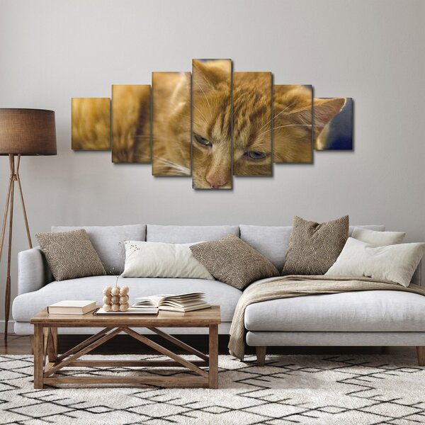 Obraz kočky (210x100 cm)
