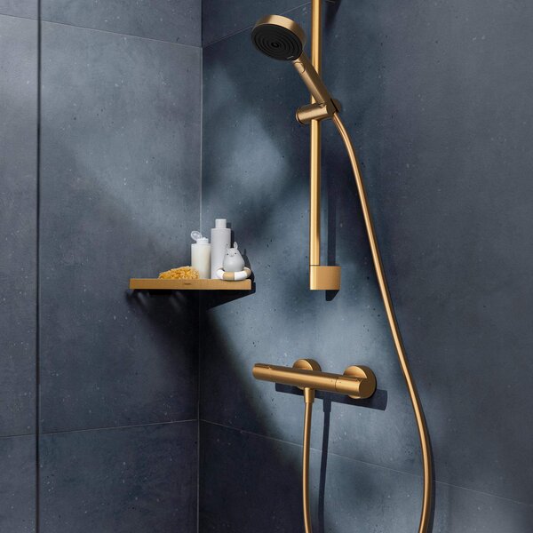 Hansgrohe Ecostat Element sprchová baterie nastěnná s termostatem || 13346140