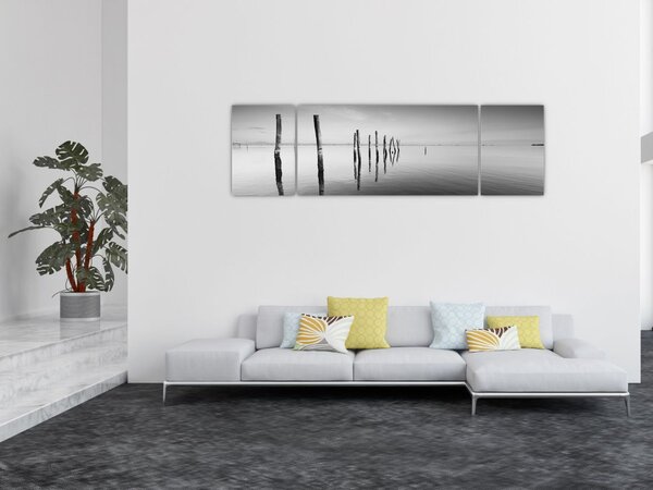 Obraz černobílé vodní hladiny (170x50 cm)