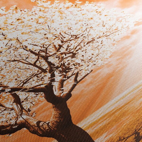 Oranžový obraz stromu (125x70 cm)