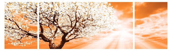 Oranžový obraz stromu (170x50 cm)