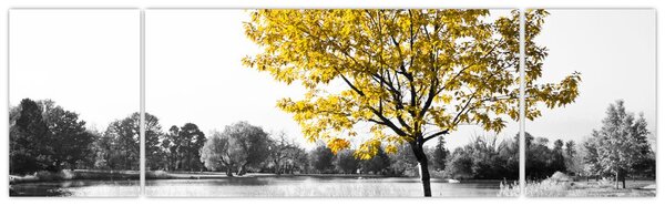 Obraz - Odpočinek v parku (170x50 cm)