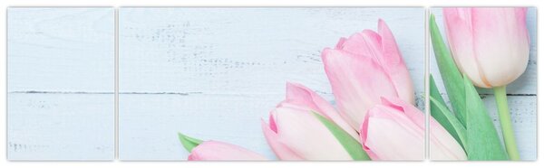 Obraz - Kytice tulipánů (170x50 cm)