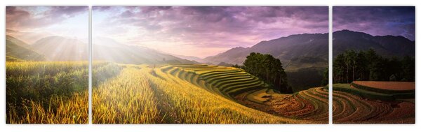 Obraz krajiny (170x50 cm)