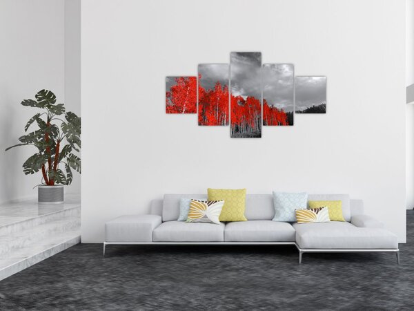 Obraz - Stromy v barvě podzimu (125x70 cm)