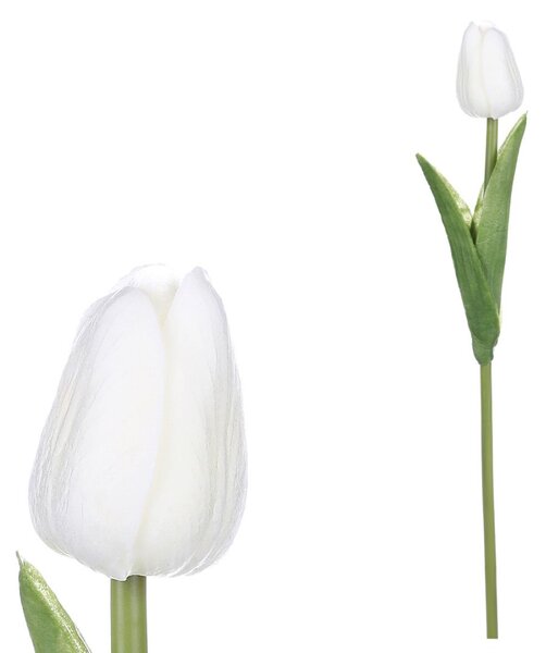 Pěnový tulipán bílý